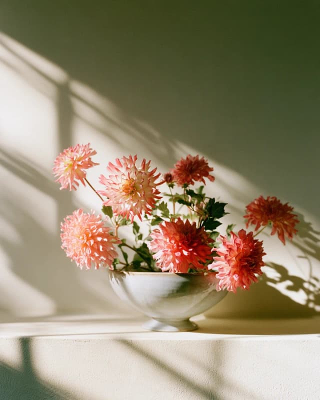 Dahlia Bowl
